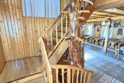 Pensiune in jud. Buzau, loc Ivanetu| Constructie lemn|Pozitionare impresionanta - 31