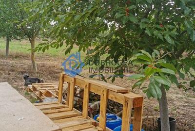 ZONA C.A.P.-TEREN INTRAVILAN ,608MP - 1