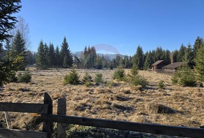 Teren 3,266mp Dorna-Arini / Drumul ORTOAIA - PODIREI - 1