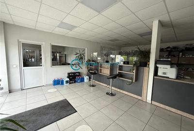 Royal Imobiliare - Inchiriere spatiu industrial zona Tantareni - 8