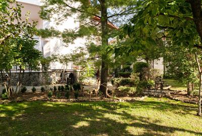 Timisoara - Girocului Vila 12 Camere 4 Bai | 497mp Utili 1373mp Teren - 39