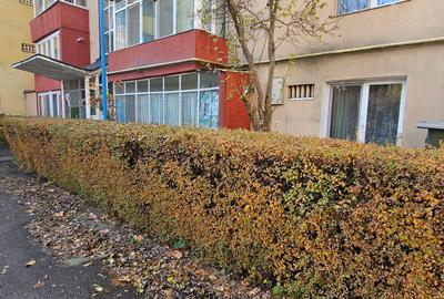 Vanzare 2 camere, Tractorul, zona 13 Decembrie - O. Goga - 8