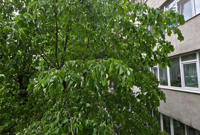 Giulesti - Apartament 2 camere decomandat –mobilat si utilat ! - 18