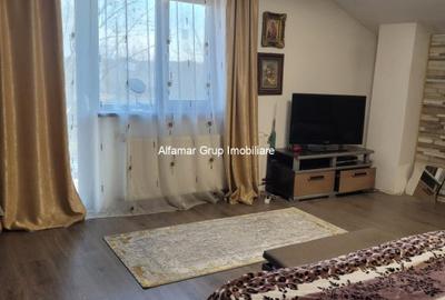 Vanzare proprietate cu 2 case Zurbaua- Dragomiresti Vale - 3