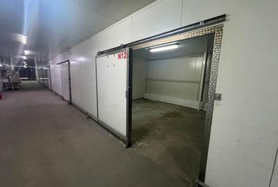 Spatii de depozitare 25 - 60 mp: produse BACANIE - Norme DSV - 1