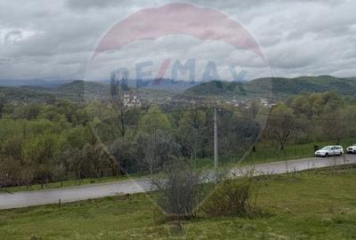 Teren 4,780mp Vadu Izei / Drumul Secatura - 3