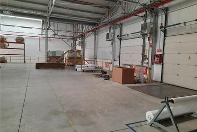 Spatiu Industrial - 6500 mp - Productie - Depozitare - 15