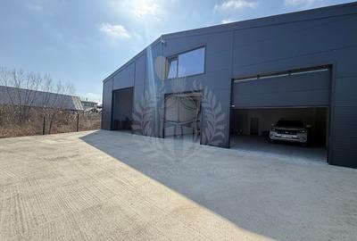Hala depozitare/ productie 250 mp de inchiriat, Tatarani, acces TIR - 16