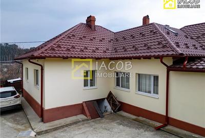 Casa, anexe, 3762 mp teren, 25000 mp padure, Comanesti, jud. Bacau - 13