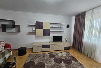 Brancoveanu-Izvorul Oltului, apartament mobilat si utilat modern, bloc reabilita - 9