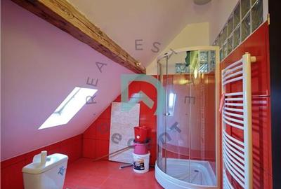 Casa de vanzare, Brasov, zona Centru Civic - pretabil clinica, birouri - 17