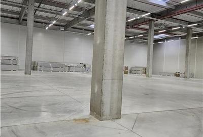 Spatiu Industrial - 5300 mp - Logistica - Productie - Depozitare - Distributie - 22