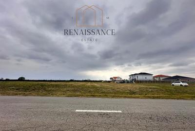 Mosnita Noua Teren 10.000mp | Front 63m | La asfalt - Zona de Case - 1