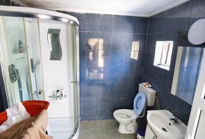Oferta ROANDY-Casa la un pret special-Democratiei-Muzicanti - 7