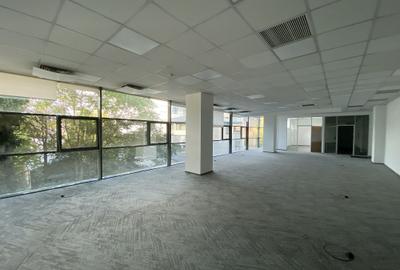 H Herastrau Park - comision 0%, reprezentam proprietarul! - 8