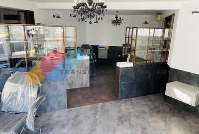 Spatiu Comercial sau Birouri 165 mp, zona Platinia - 2