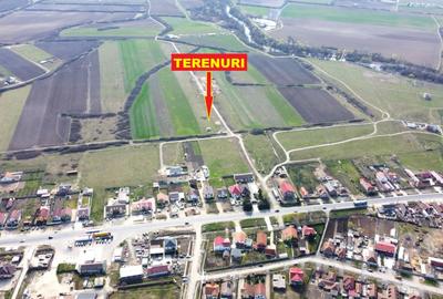 Remetea Mare - teren locuinte colective si servicii - toate utilitatile - 6