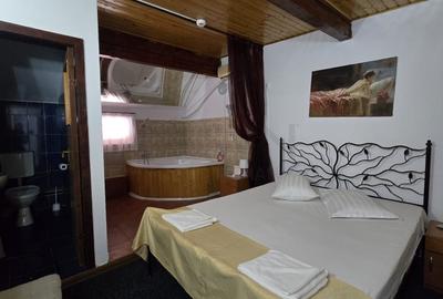 REC3001760 Hotel investitie de vanzare Domnesti - 14