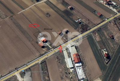 Teren intravilan 4514 mp de vanzare, Luizi Calugara - 2