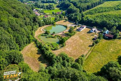 FILM! Teren extravilan pe 2.737mp,zona pretioasa,acces facil,Dobarlau,Covasna - 8