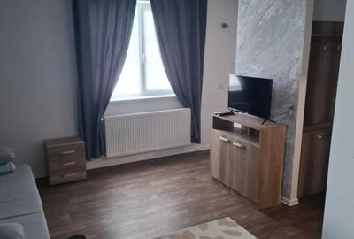 Afacere la cheie casa, vila, zona Therme,Aeroport - 4