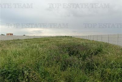 Teren intravilan 5280 mp de vanzare cu deschidere in 2 strazi / Bragadiru - 6