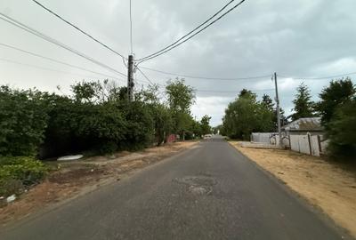 Teren 1000 mp Adunații-Copăceni (Dărăști-Vlașca)-Giurgiu - 13