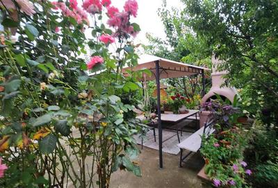 Vila Julie Ultracentral Suceava De Vanzare 0727817187 - 14