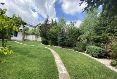 Vila superba - 7 camere - vanzare - Iancu Nicolae - Padurea Baneasa - 25