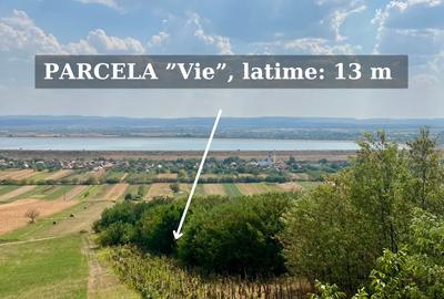 Pivnita + parcela de vie | de vanzare | Uileacu de Cris, Bihor - 8