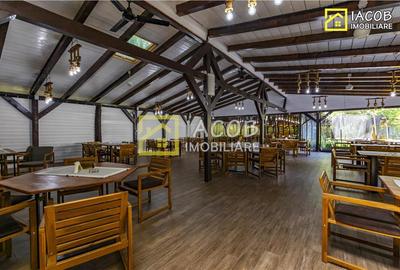 Popas Dumbravita, DN23 Focsani - Galati/Braila - 12