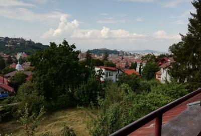 Apartament 3 camere pozitie deosebita zona Olimpia - 23