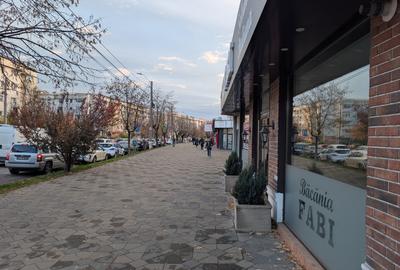 Spatiu stradal Stefan cel Mare 7 - 1