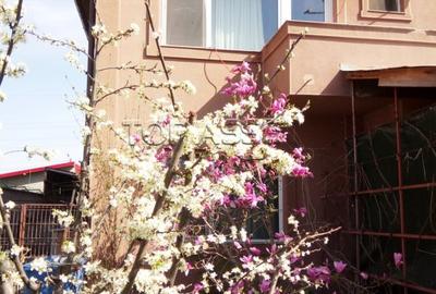 Chiajna - parcul Viitorului - 3