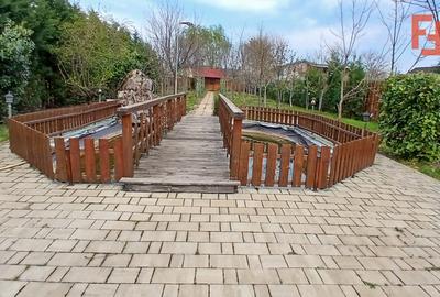 Casa deosebita in Sacalaz - vatra satului la 15 minute de Timisoara - 24