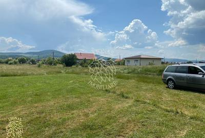 Teren 7200 mp-parcelabil-investitie-Sieu Magherus la 16 km de Bistrita - 6