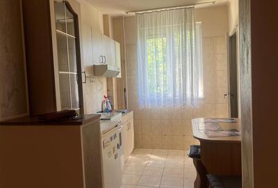 Apartament 3 camere Brad - 6