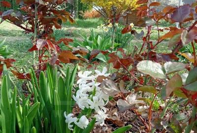 Ocazie! Teren intravilan cu utilități  in Aiton la 30 min. de centru Cluj-Napoca - 7