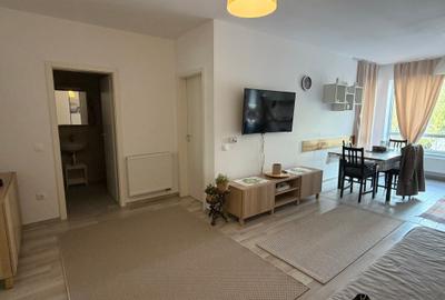 Inchiriere studio mobilat si utilat Aavantgarden3 Brasov - 4