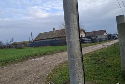 Corbu-3125mp in vatra satului,12euro/mp - 3