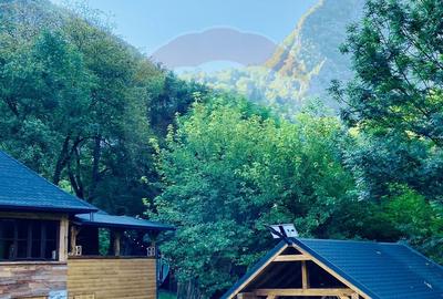 Casă de vacanță deosebită cu ciubăr si saună - natura si relaxare - 42