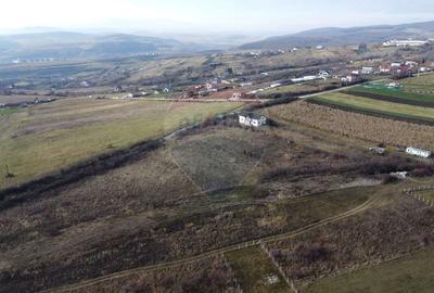 Teren 19.375 mp Dâmbu Rotund. Potențial rezidențial. Extravilan - 7