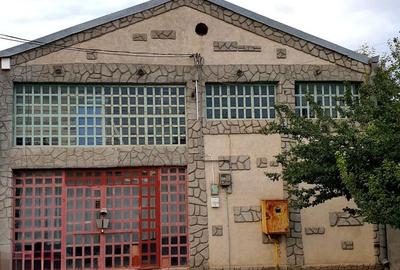 Spatiu comercial stradal Ion Ghica 17 - 1