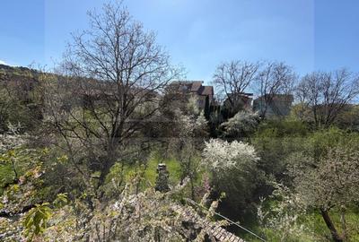 Casa cu pozitionare unica in natura, apa curgatoare, 250mp, Manastur - 17