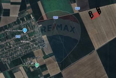 Teren extravilan 46,300mp Curtici - 2