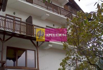 Spatiu turistic de vanzare in Busteni - Zona Centrala - 1