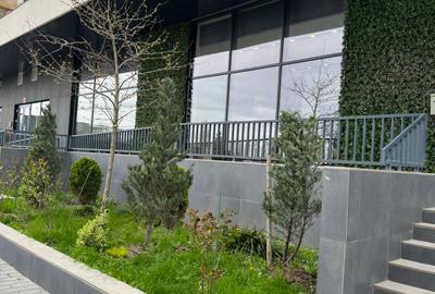 Birou, 500 mp în Tomis Nord