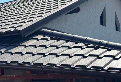 48.000 Euro casa+teren (in concesiune) 804 mp in com Branistea - 1