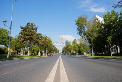 Vanzare spatiu comercial, investitie cu venit imediat, Drumul Binelui - 25