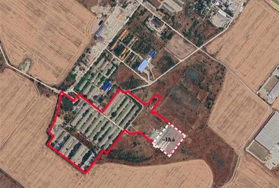 Popesti Leordeni, teren 1 ha - 1